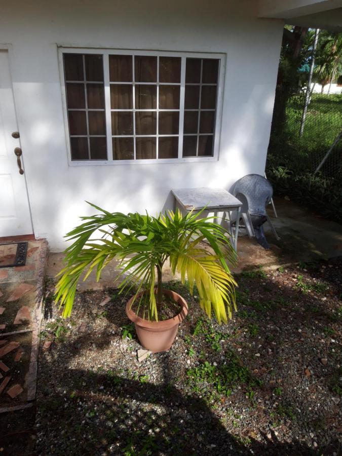 Tranquil Guest House Buccoo Dış mekan fotoğraf